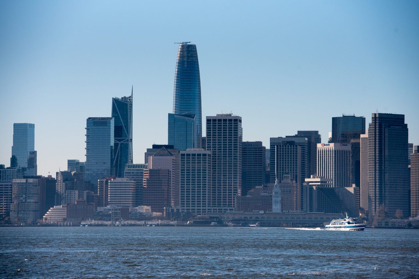 San Francisco's skyline.