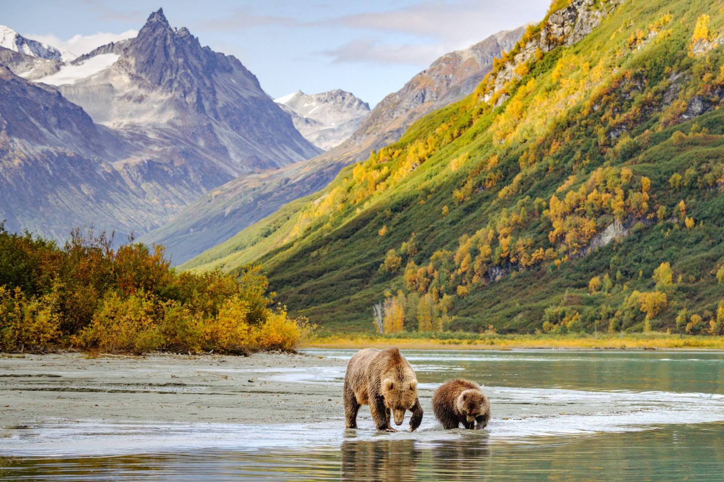 An Alaska mining project that could yield about $80 billion in gold is being challenged by 3 Native tribes over environmental worries
