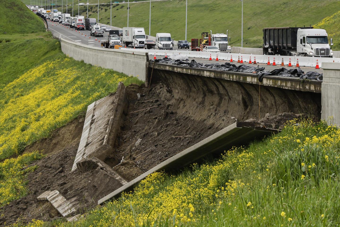 California fears even worse fire season as ‘superblooms’ from historic wet winter become kindling