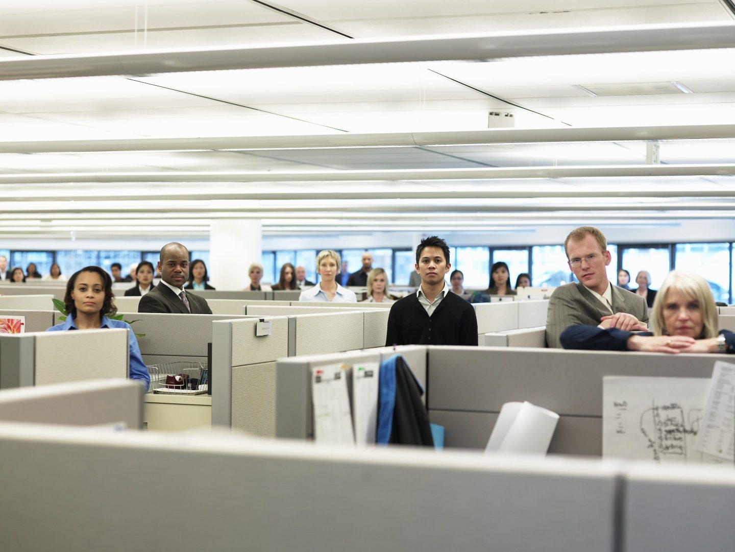 Group of executives standing in cubicles, portrait.