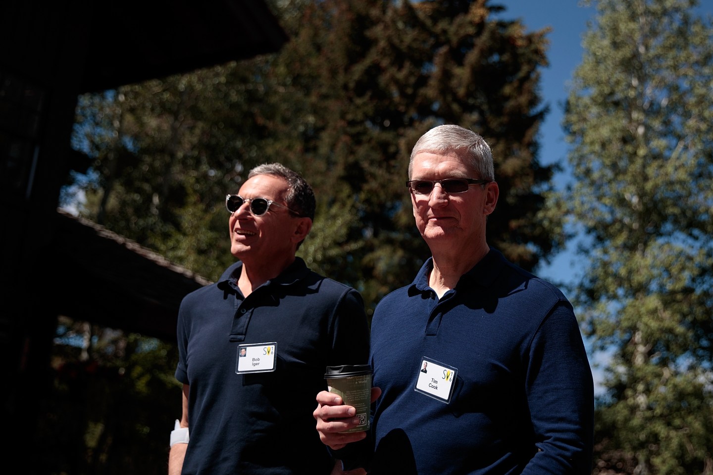 Disney boss Bob Iger and Apple CEO Tim Cook, seen here in a picture from 2016.