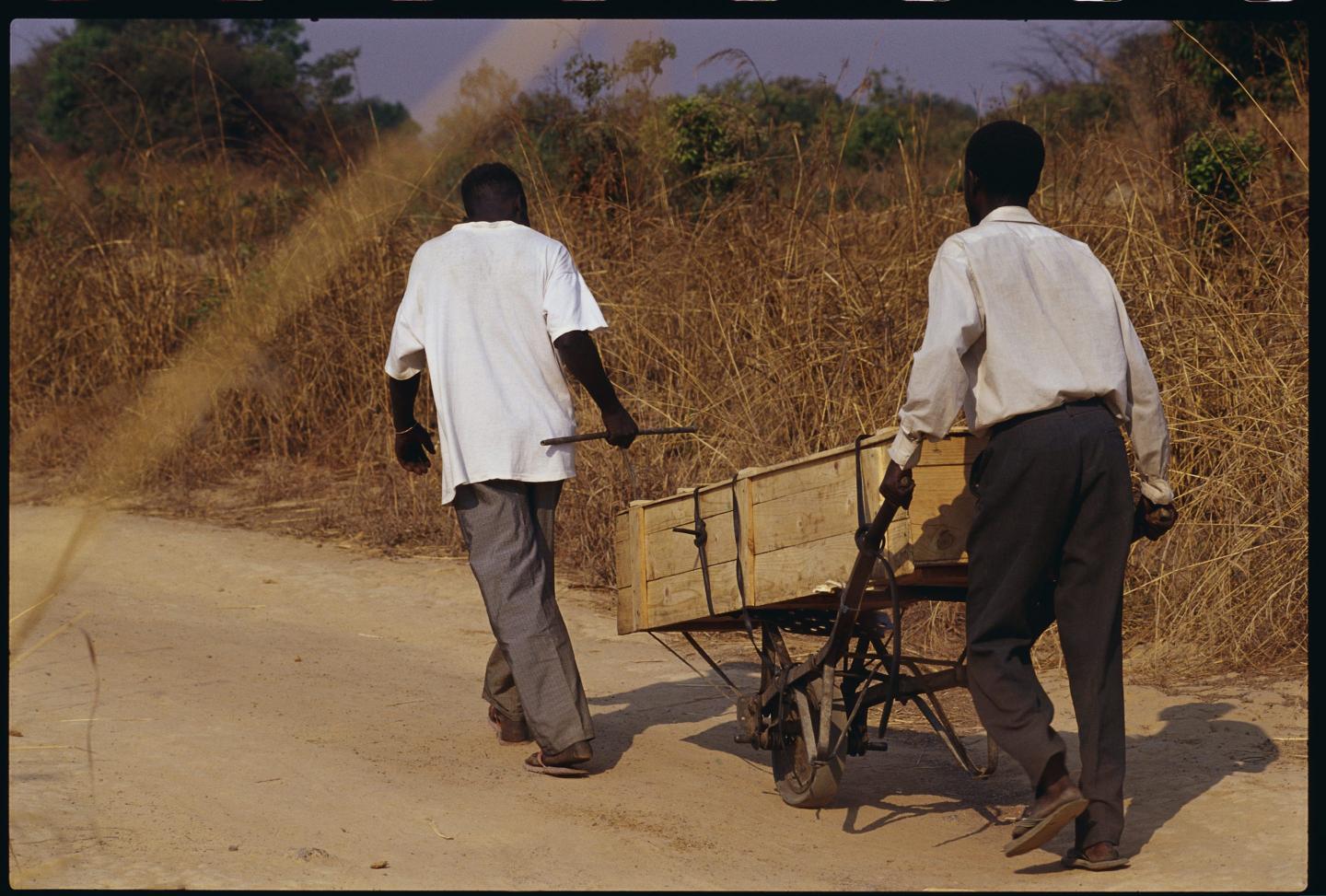 Zambia coffin