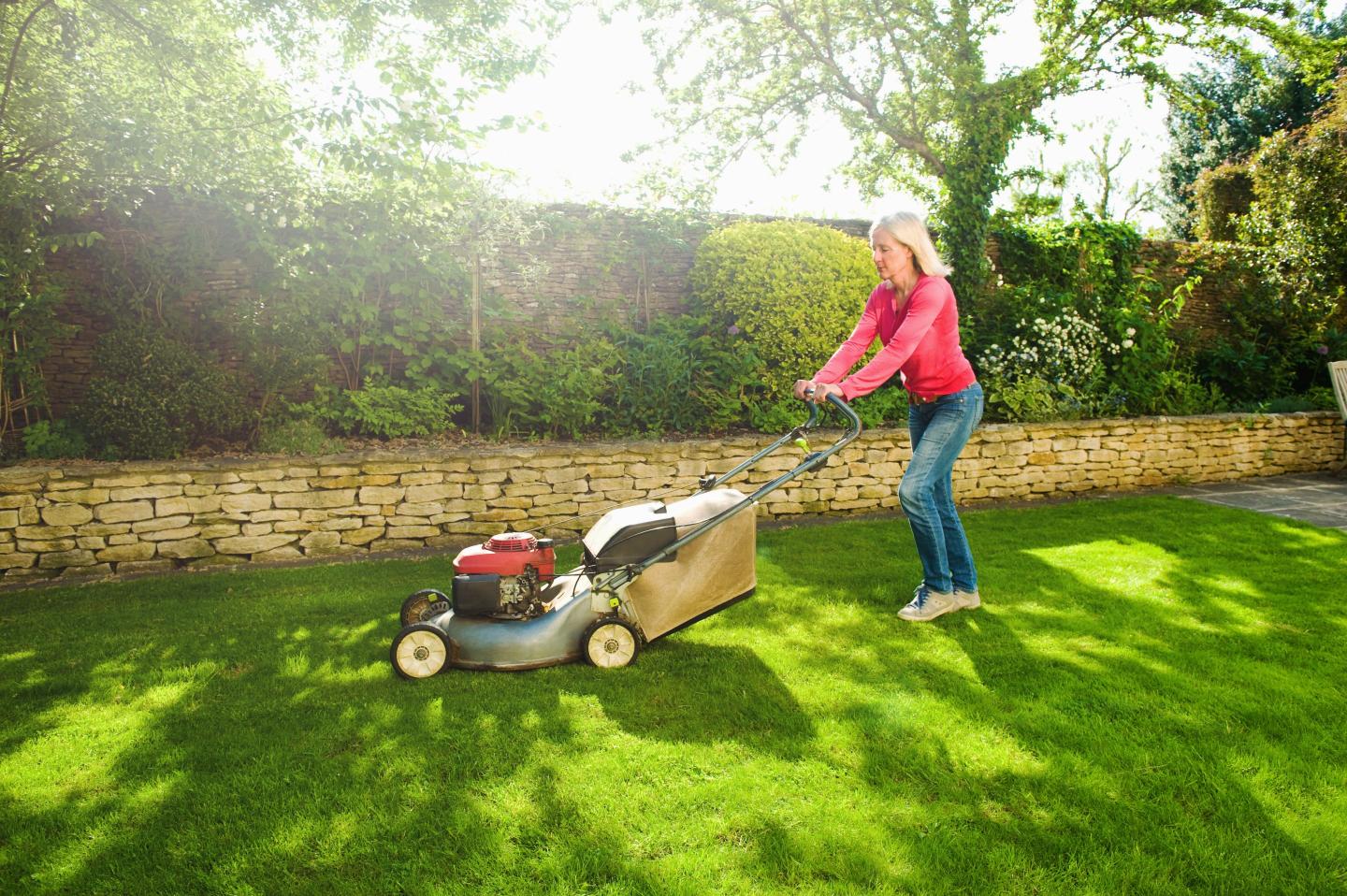 People painting their lawns is only the latest twist in the long strange American pursuit of perfect grass