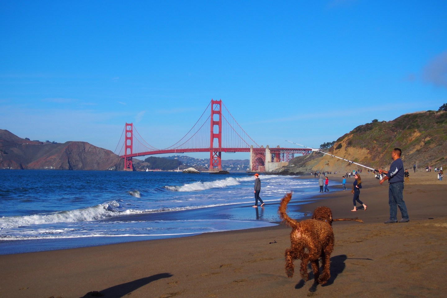 People fishing, running into water and dog running along beach near Golden Gate Bridge, San Francisco.