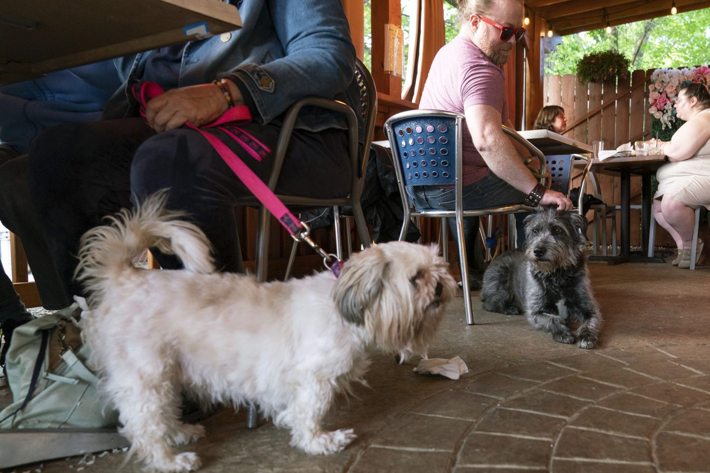 Monty Hobbs, right, and his dog Mattox sit next to another pet dog on the patio at the Olive Lounge in Takoma Park, Md. on May 4, 2023.