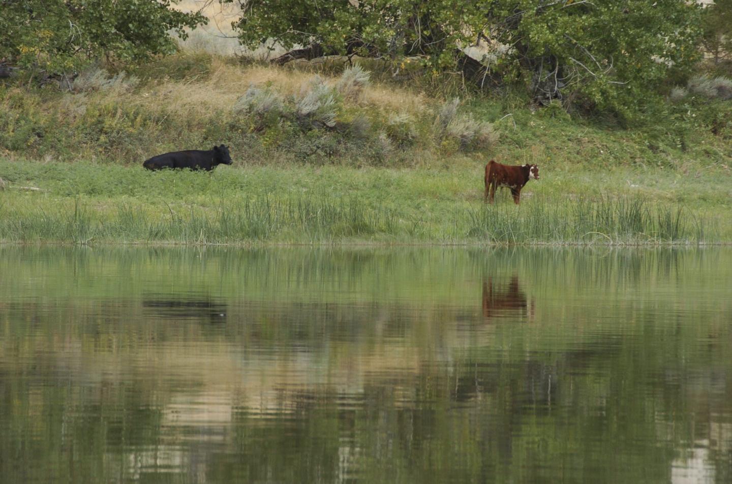 Biden administration wants to let conservationists lease public land just like drillers and ranchers do