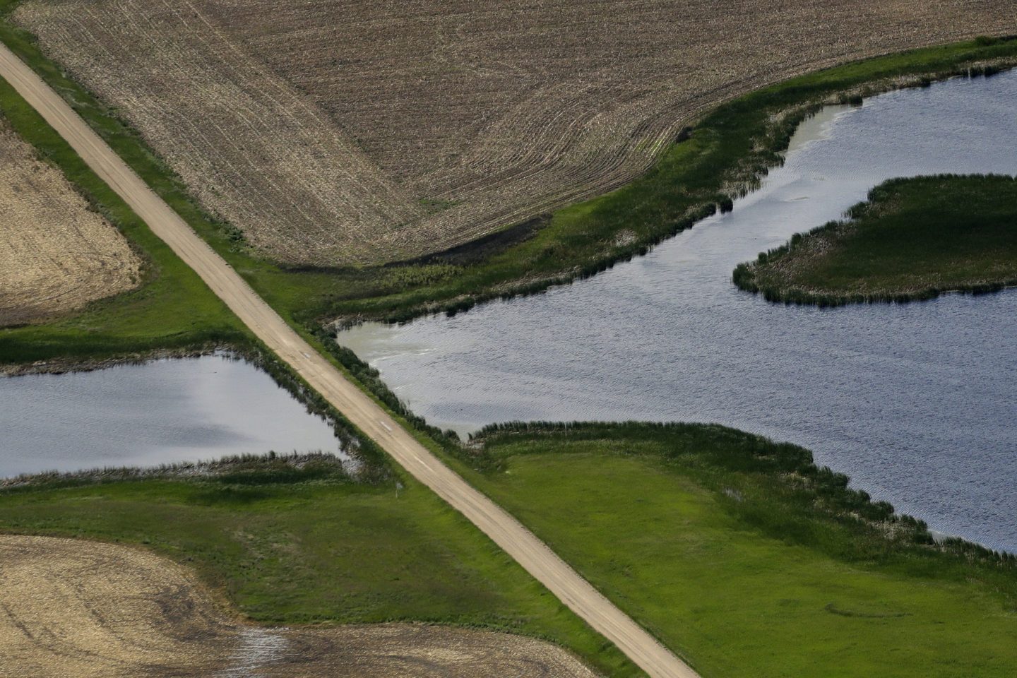 A road bisects a wetland on June 20, 2019, near Kulm, N.D.