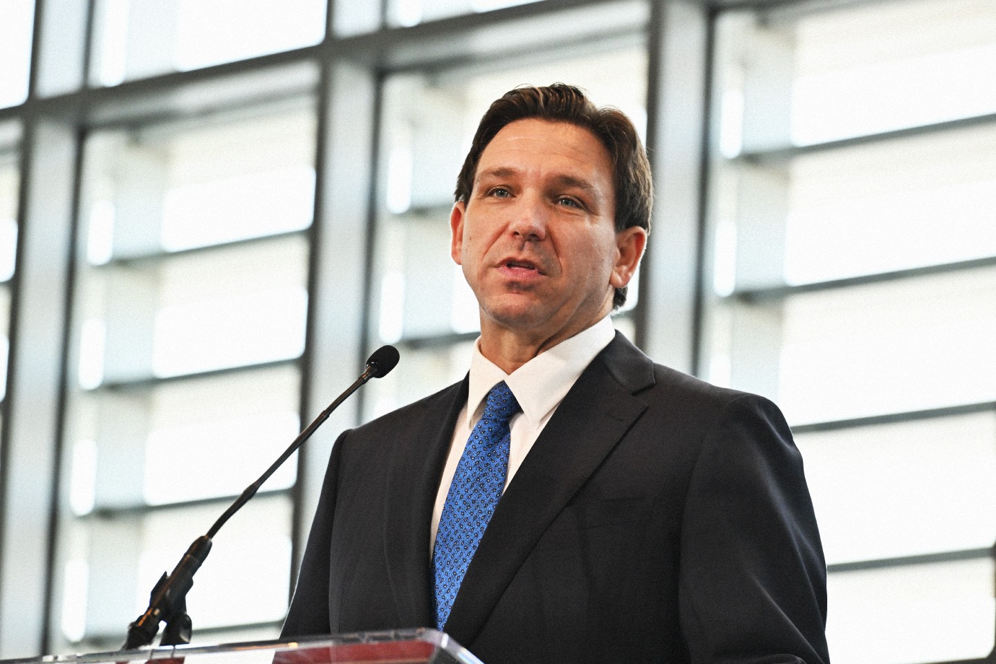 Florida Gov. Ron DeSantis defunded D&I programs at state colleges.