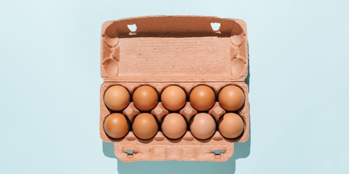 A major health organization says meat, eggs and milk are vital sources of &lsquo;much-needed nutrients.&rsquo; Here&rsquo;s why