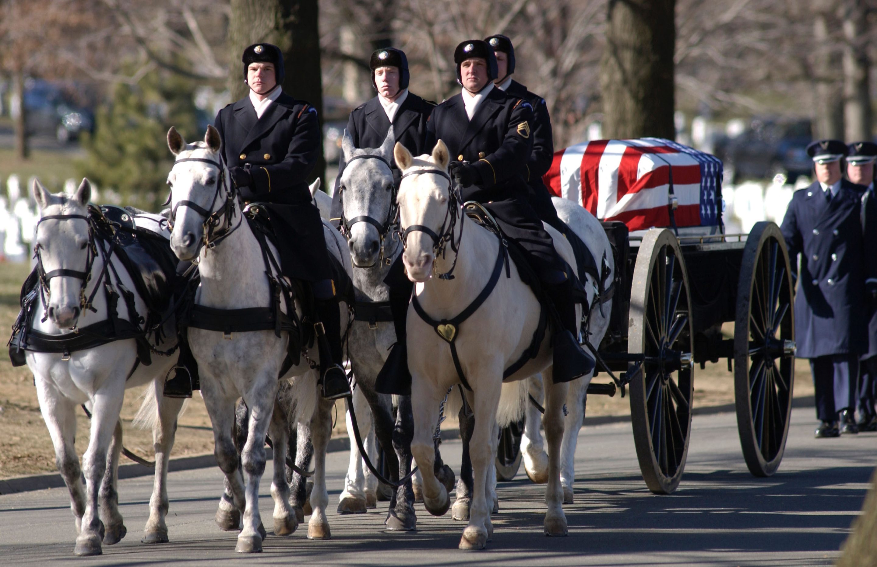 Army promises changes after horse deaths at Arlington | Fortune