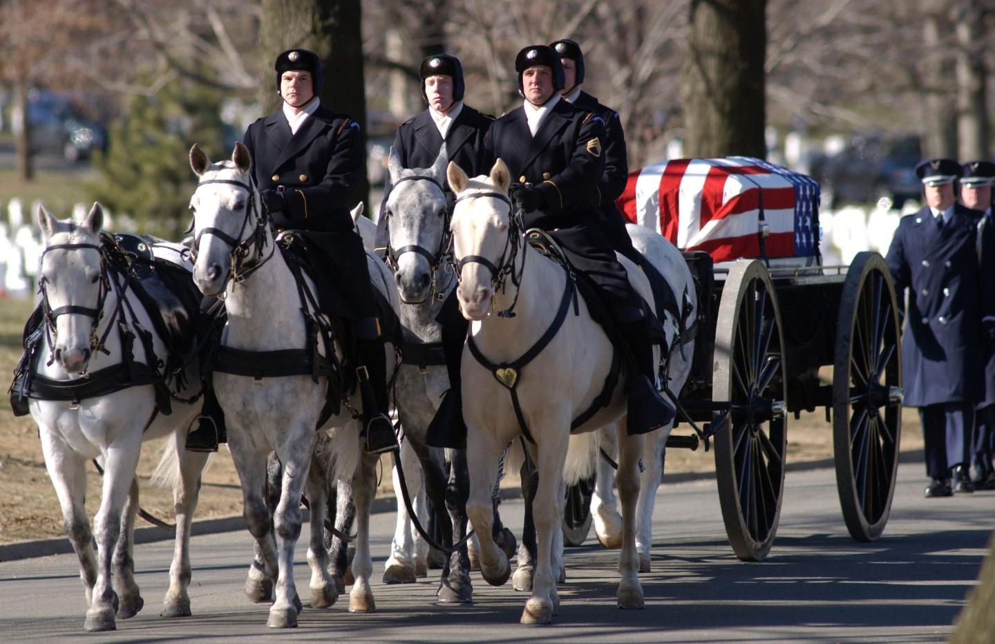 Horses at Arlington National Cemetary.