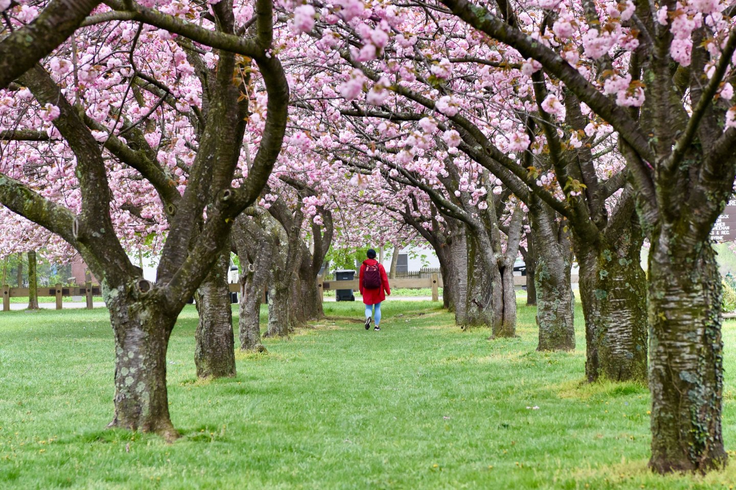 Greenburgh, N.Y., less than an hour from Manhattan, is lush with natural and historical landmarks.