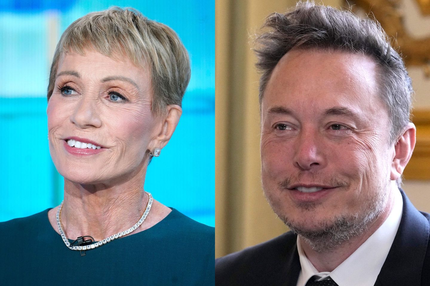 Left: Shark Tank star Barbara Corcoran. Right: Tesla CEO Elon Musk
