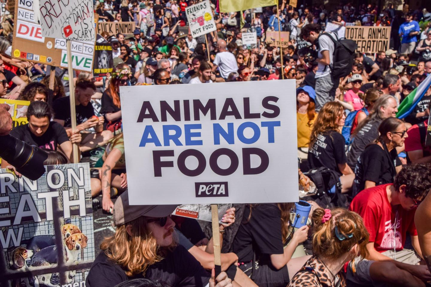 Vegan protest