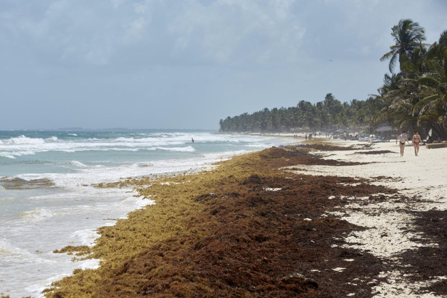 A handful of companies have the power to save the oceans. Here’s why we’re urging them to reinvent our land-based food systems