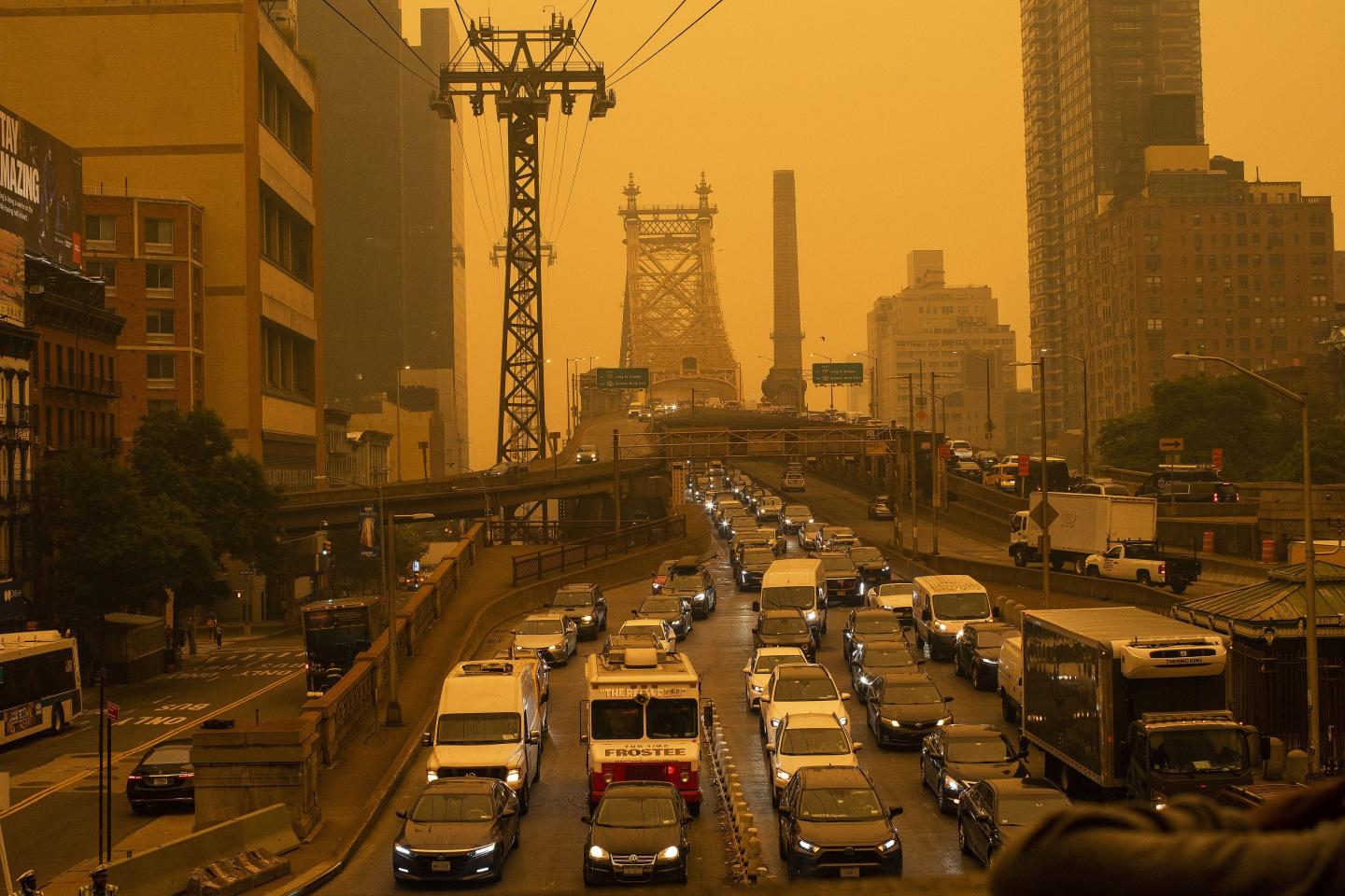 A toxicologist breaks down exactly how wildfire smoke hurts your lungs and what people from New York to Detroit should be doing to stay safe