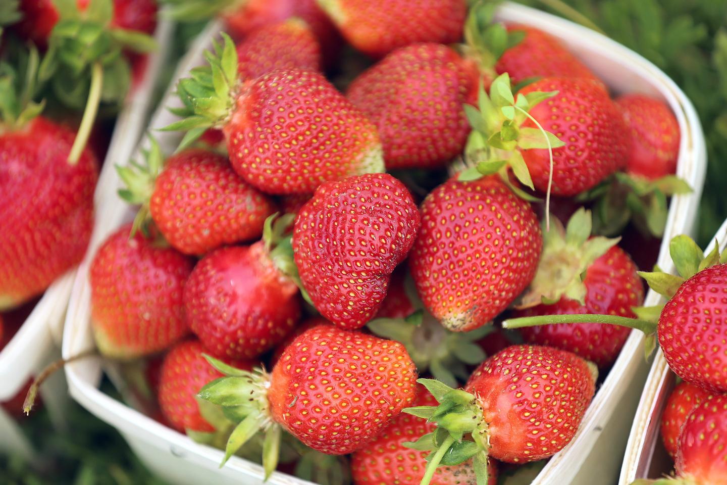 Strawberry recall linked to U.S. Hepatitis A outbreak spotlights risk of contaminated food spreading potentially deadly diseases