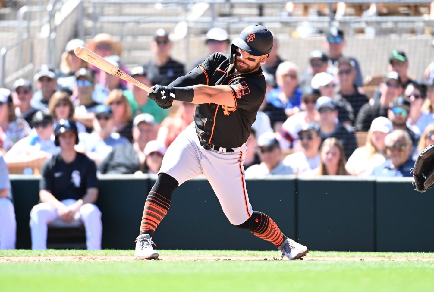 Photo of Ka’ai Tom of the San Francisco Giants