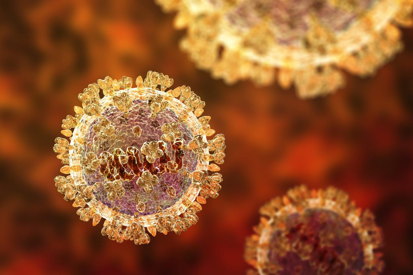 Illustration of Langya viruses