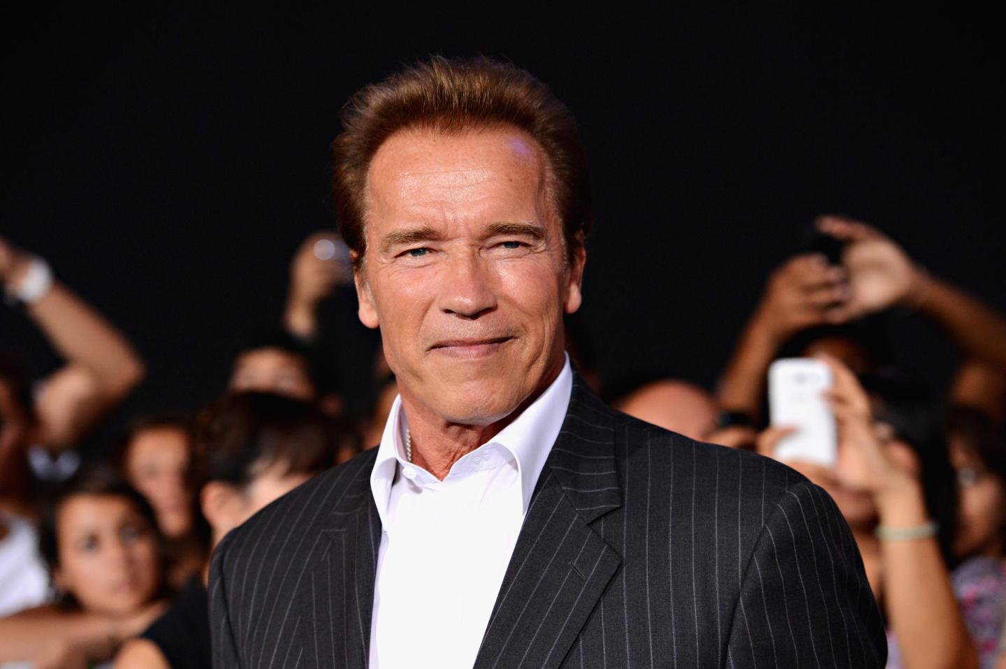 Actor Arnold Schwarzenegger