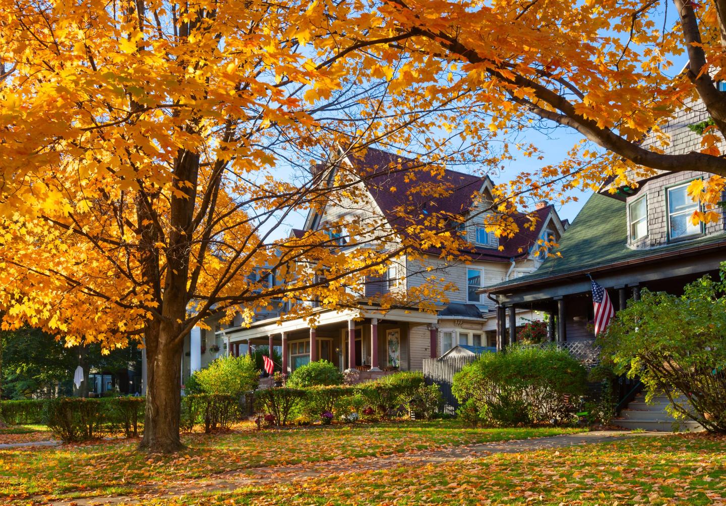 A view of the Elmwood Village neighborhood of Buffalo