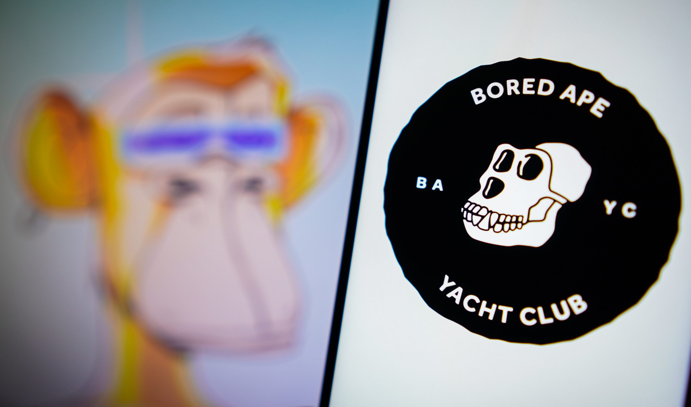 Bored Ape Yacht Club is sinking as floor prices spiral | Fortune