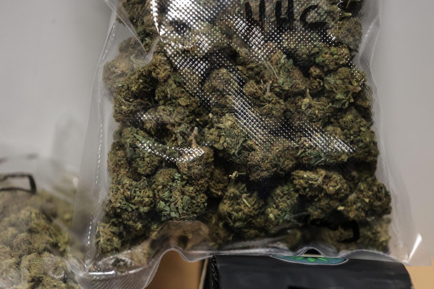 Black market cannabis is a major problem for states where marijuana has been legalized.