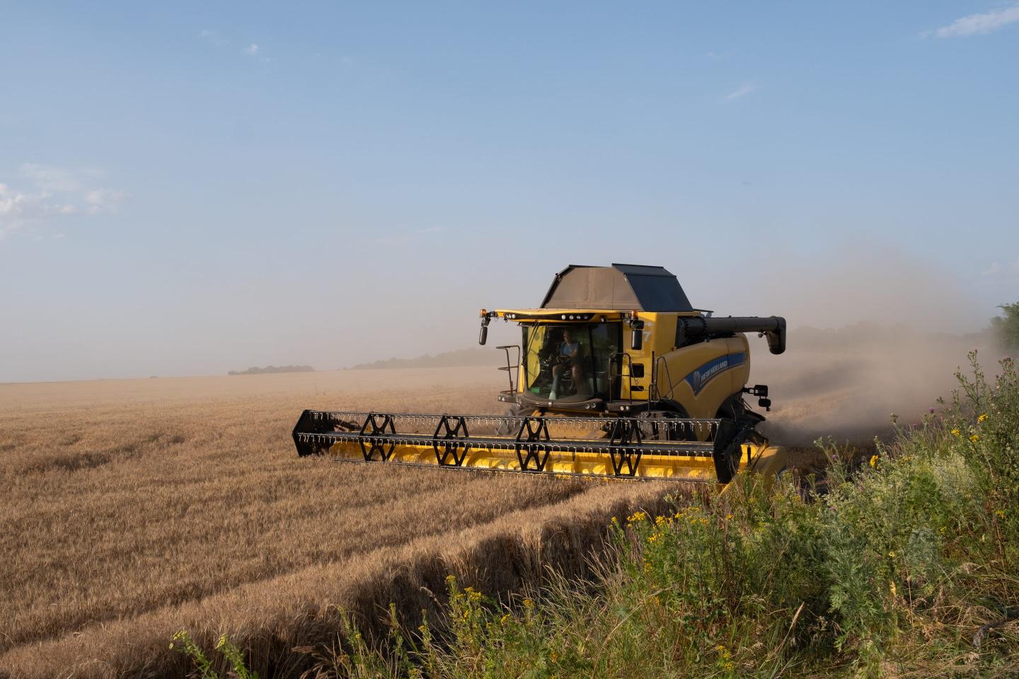 Russia kills Ukraine grain export deal, boosting worries about world food supply