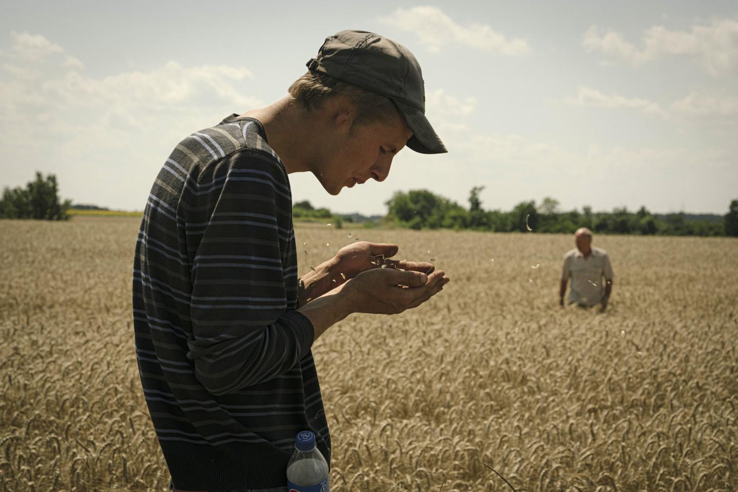 Russia is weaponizing global food security in its war—but agribusiness is promising to come to Ukraine’s rescue