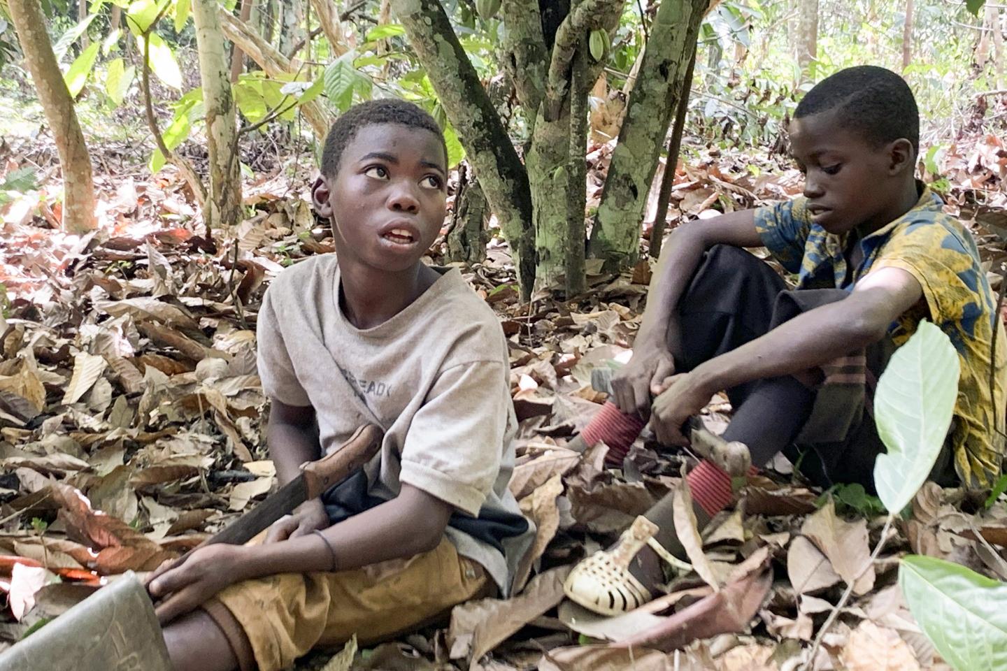 West Africa child labor