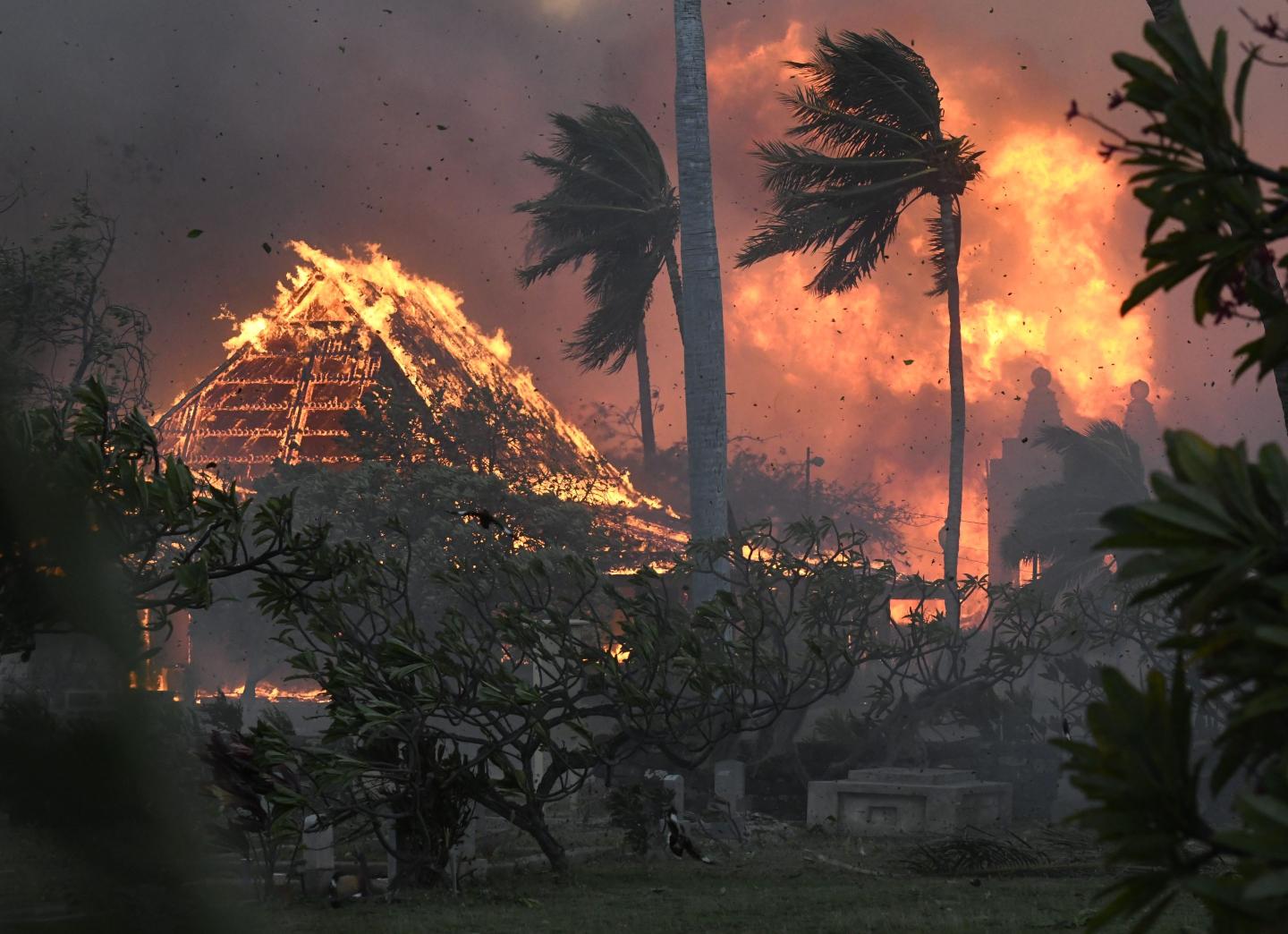 Wildfires devasted the island of Maui.