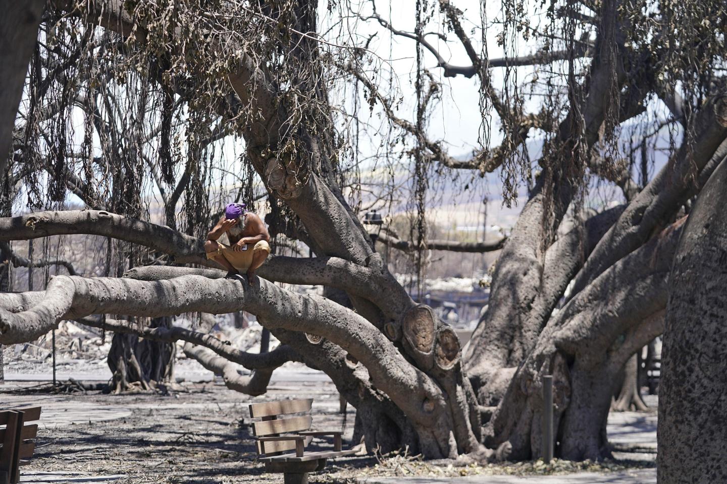 Hawaii residents fear ‘climate gentrification’ after devastating Maui fires cause $3.2B in property losses