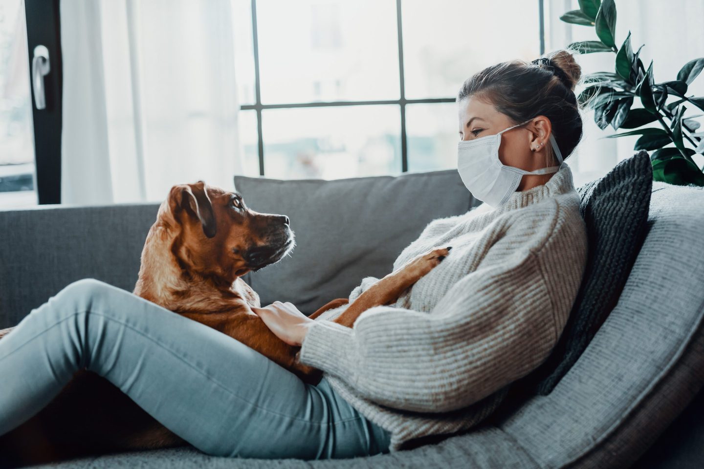 Woman wearing a protective face mask cuddles and plays with her dog at home.