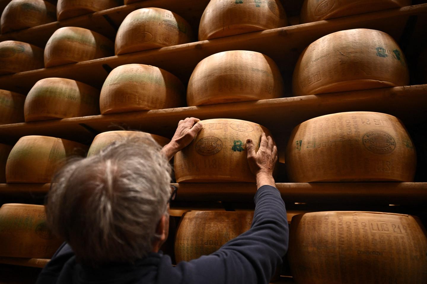 person holding a parmesan cheese wheel amid a stack of several such wheels