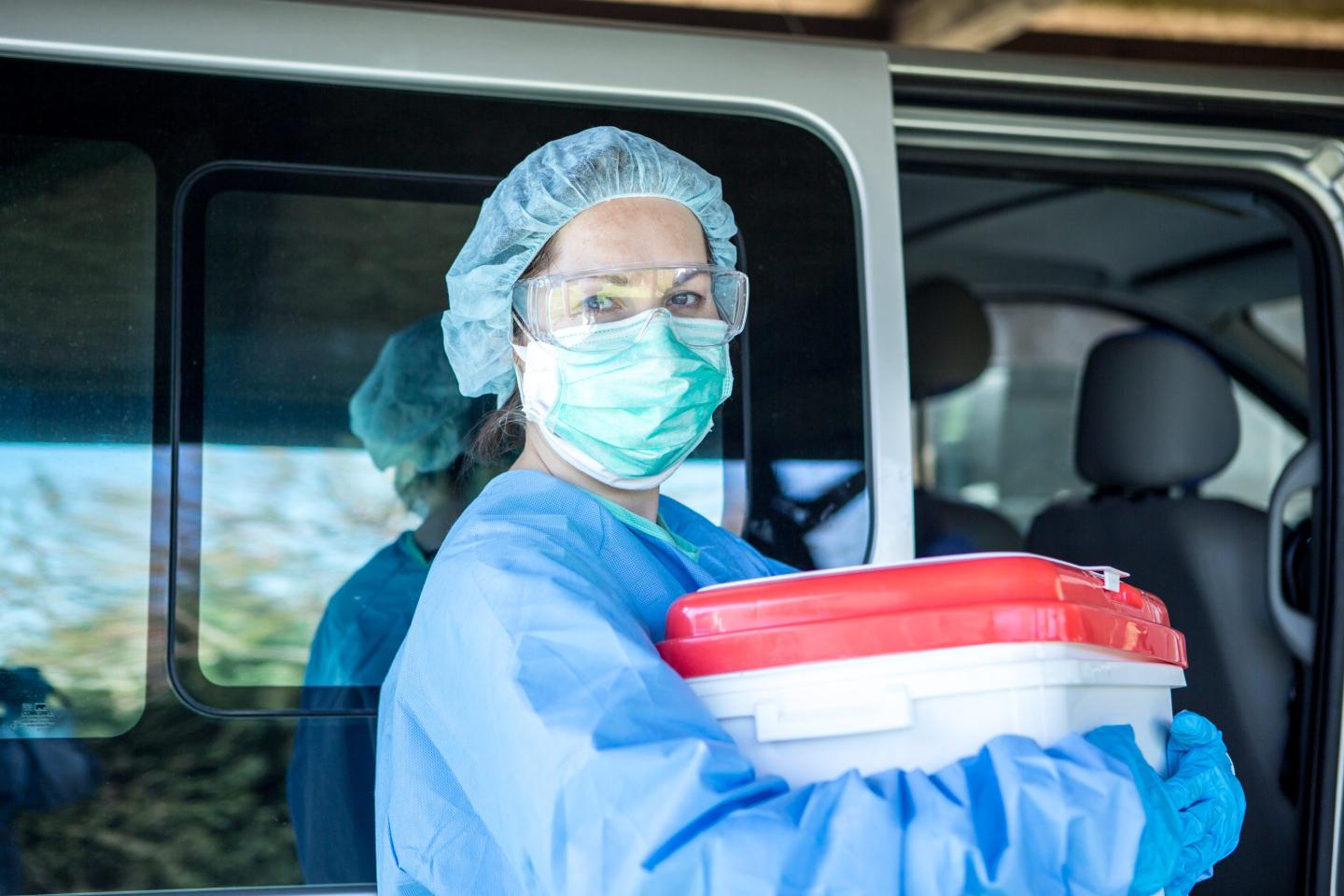 A genetically altered pig kidney transplanted into a human a month ago is still working: ‘It looks even better than a human kidney’