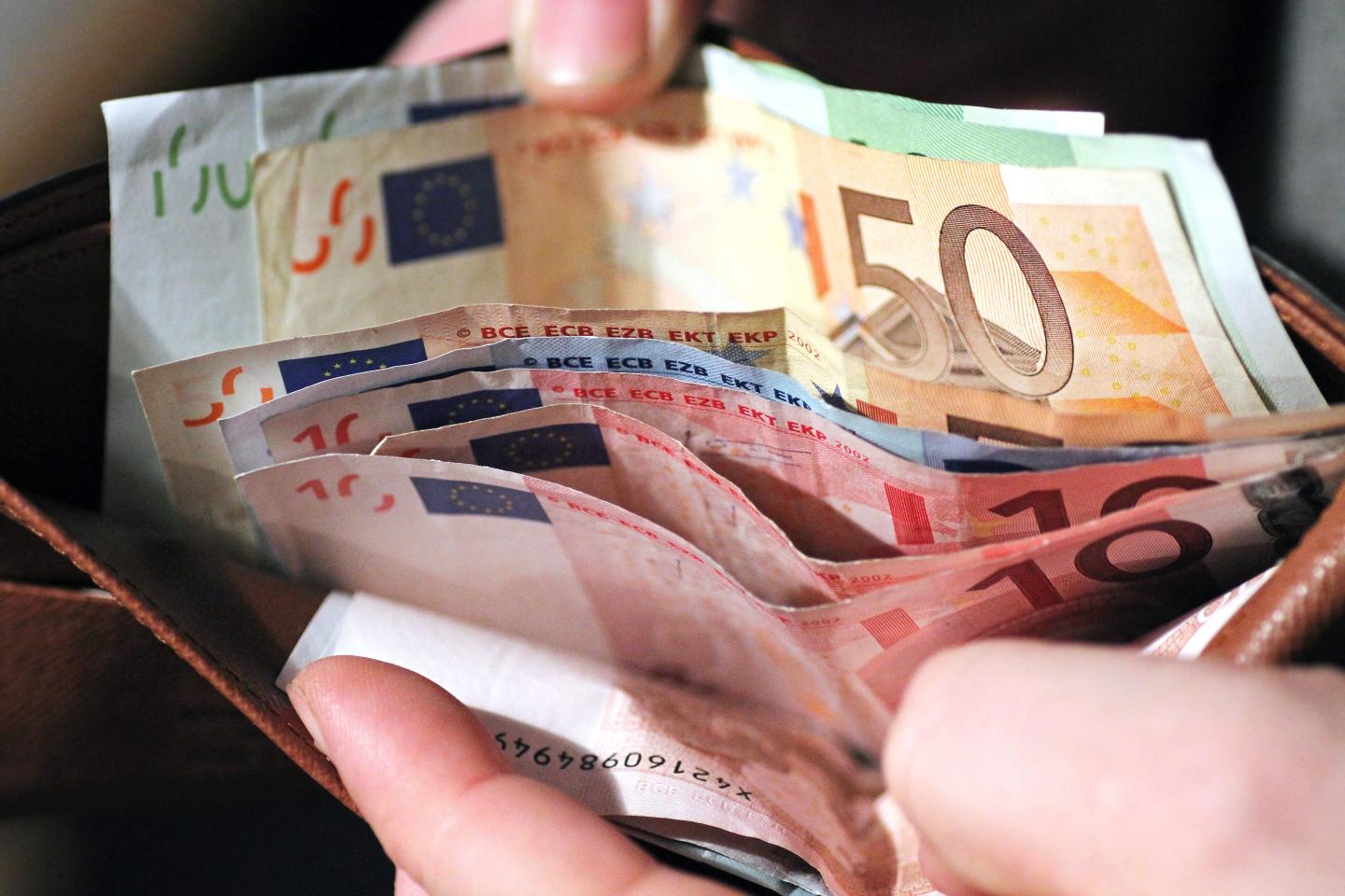 A person holding euro notes
