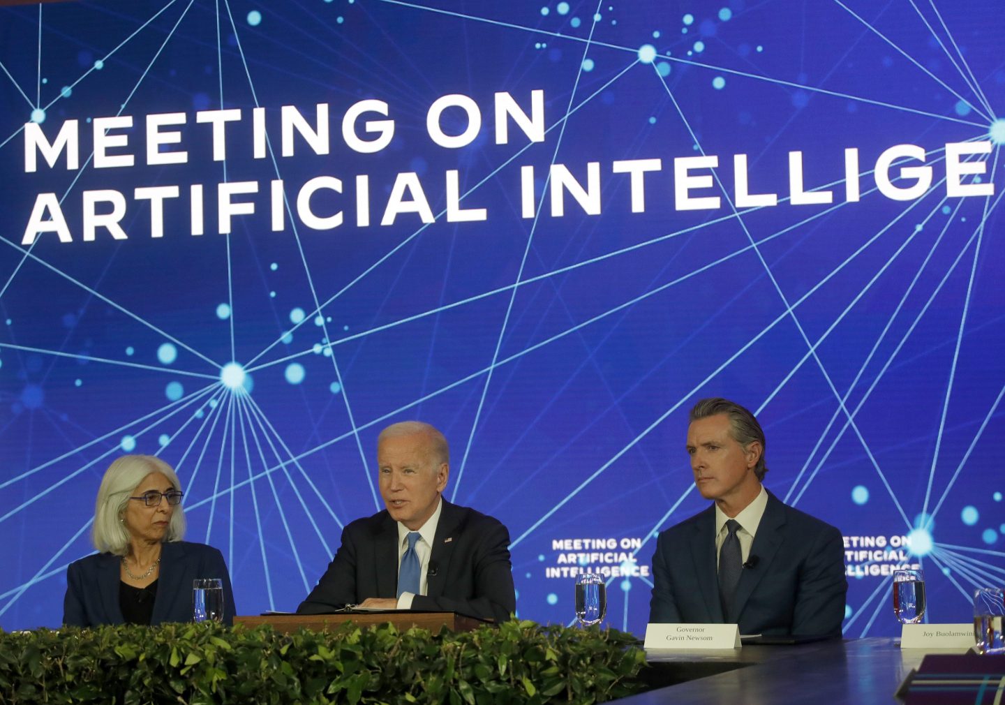 joe biden with AI experts