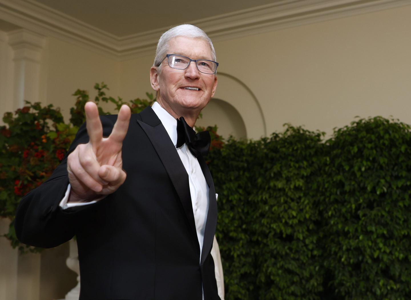 Tim Cook isn't interested in engaging in breathy hype around A.I. to pump his stock like other CEOs.