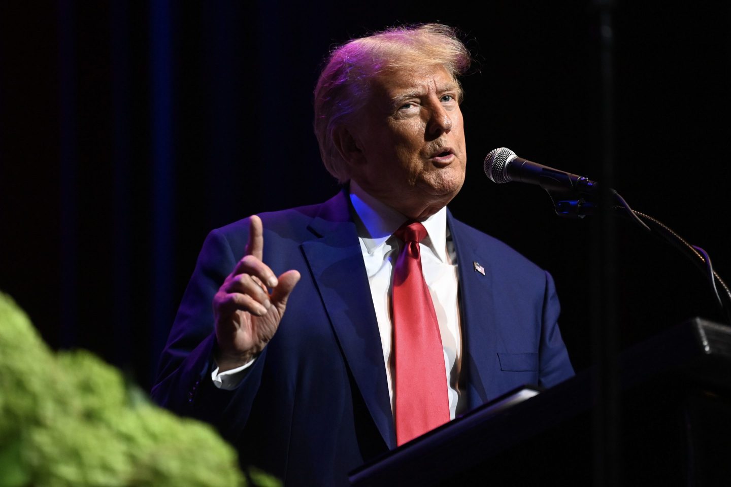 Former President Donald Trump.