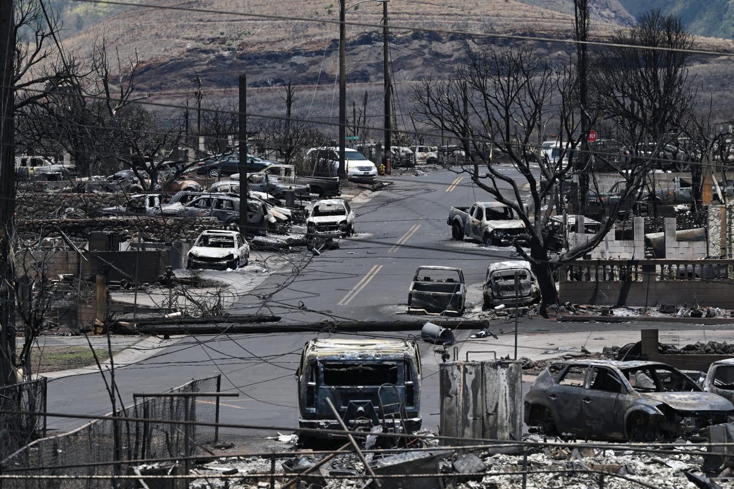 ‘I heard buzz, buzz’: Downed power lines are a prime suspect in at least some of Maui’s devastating wildfires