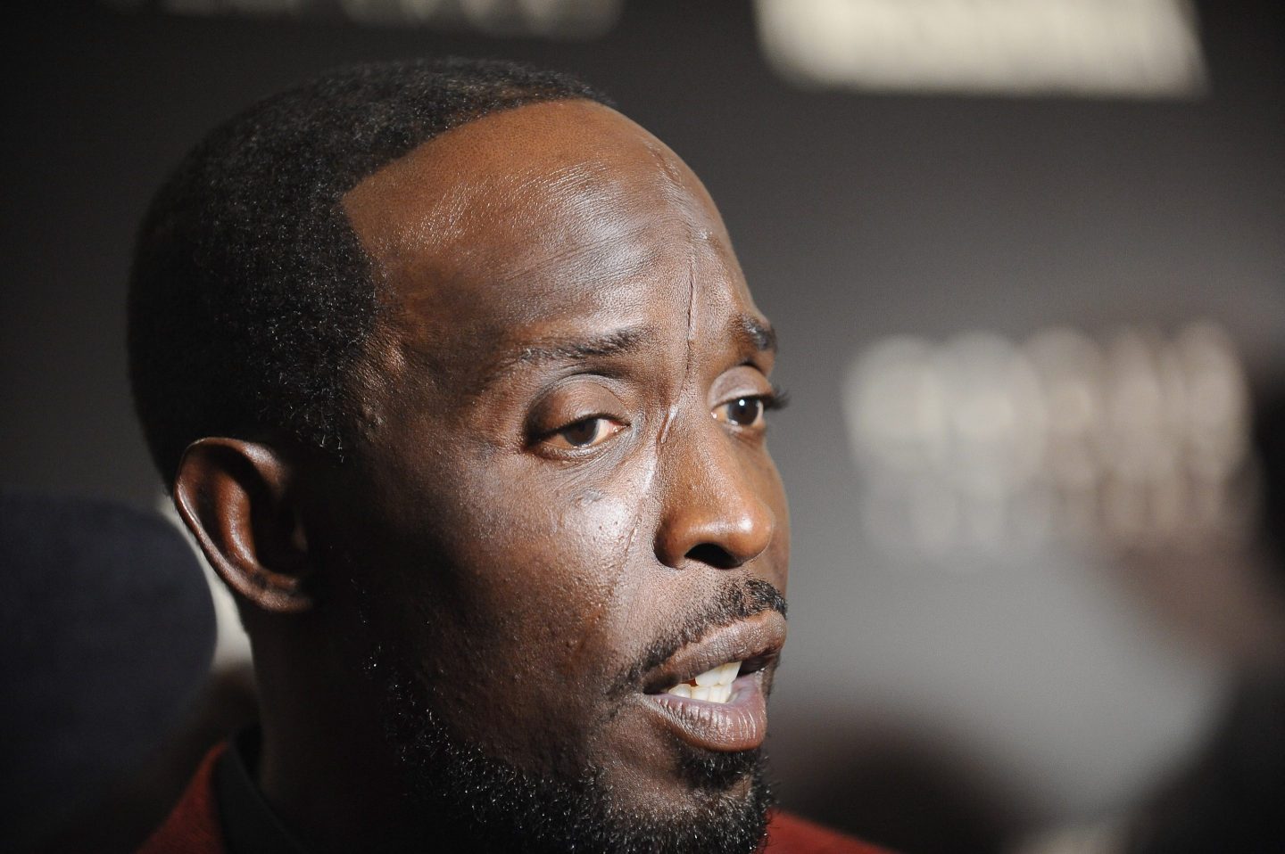 Actor Michael K. Williams.