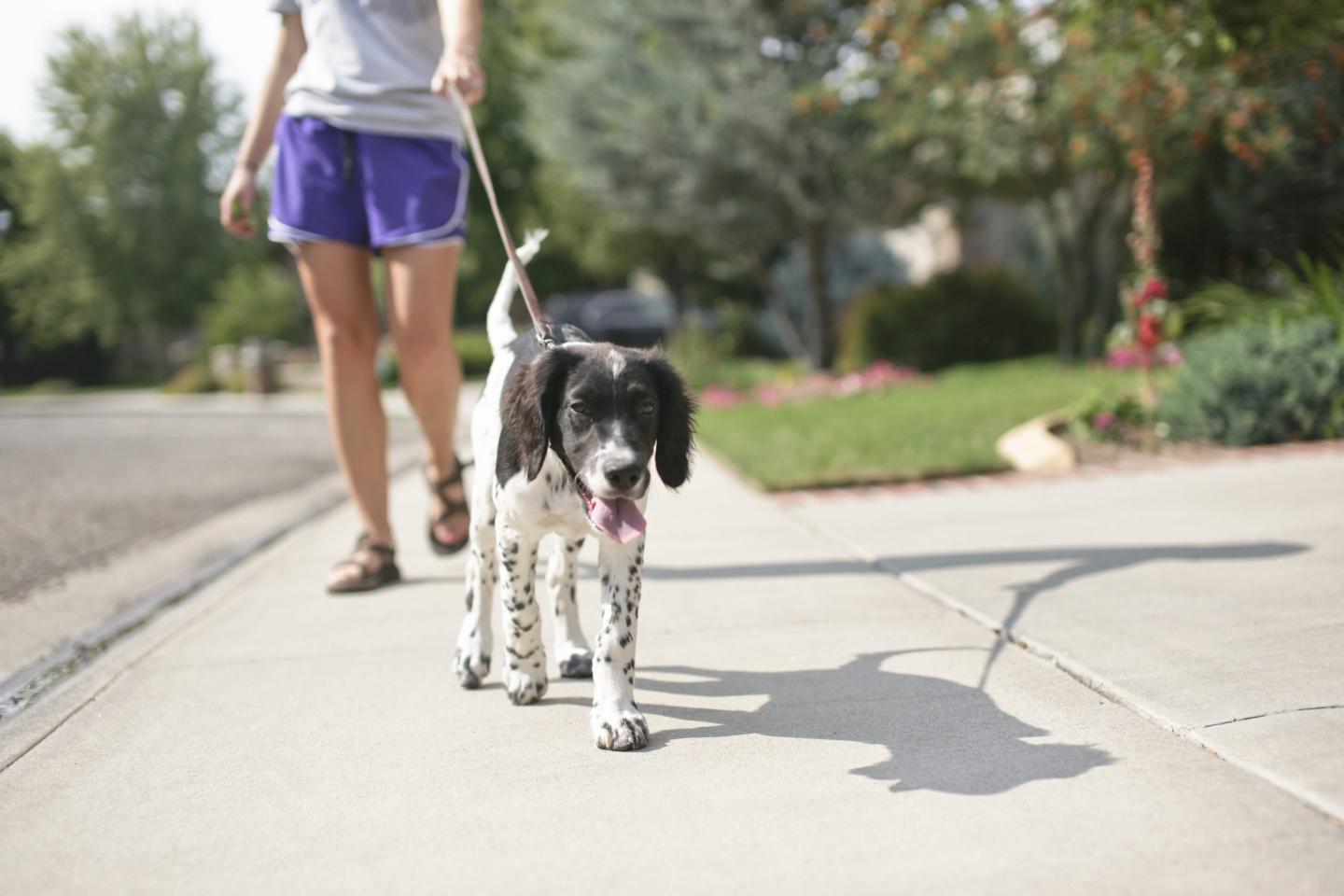 The U.S. Center for Disease Control and Prevention recommends at least 150 minutes each week of moderate-intensity physical activity or 75-minutes each week of vigorous-intensity activity, along with two days of muscle strengthening.