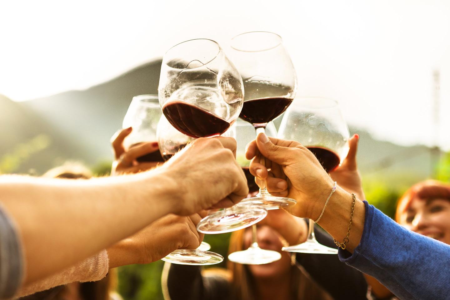 Glasses at a wine tasting