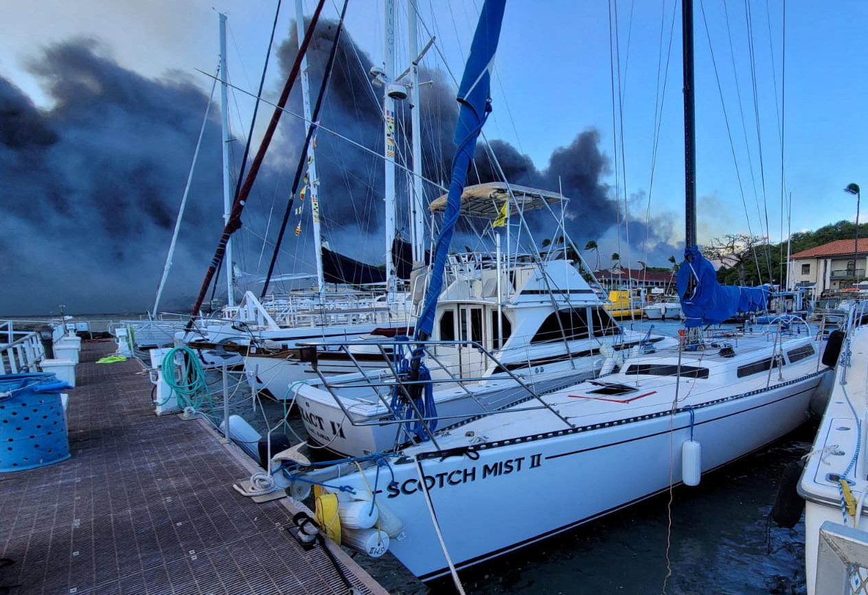 ‘Nowhere is immune’: Maui’s devastating fires that have killed at least 6 and destroyed a historic tourist town are fueled by climate change