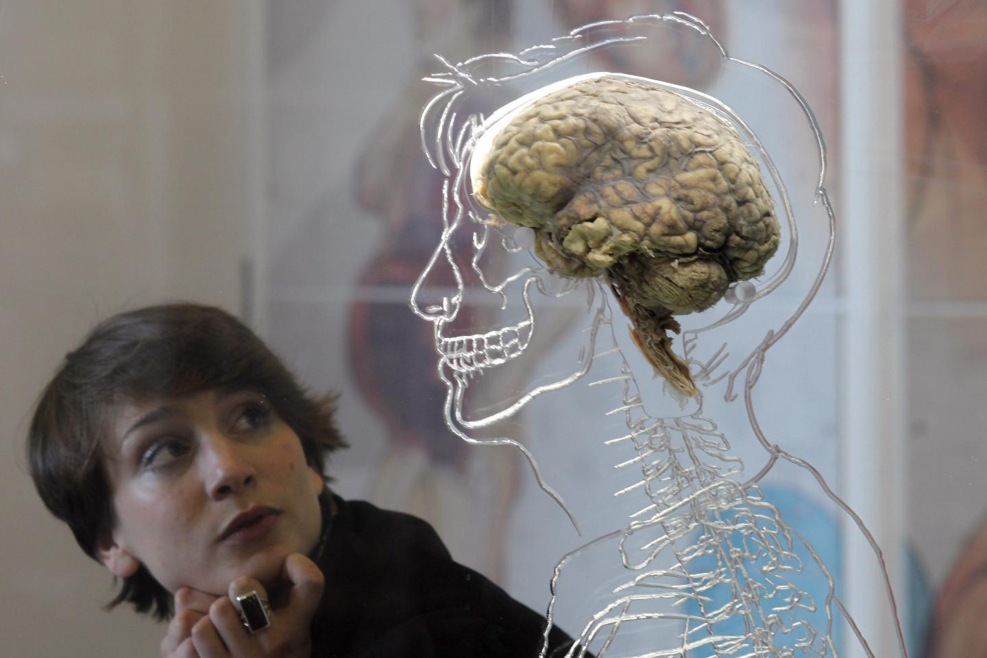 As stress rises, the prefrontal cortex, which is involved in executive functions such as planning, working memory, emotion processing, and cognitive flexibility, can become challenged.