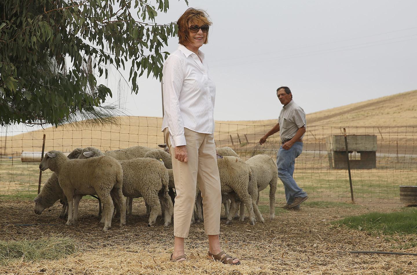 Ranchers decry ‘arrogant’ Silicon Valley billionaires buying up land for ‘fantasy’ city near San Francisco: ‘We are now totally surrounded’