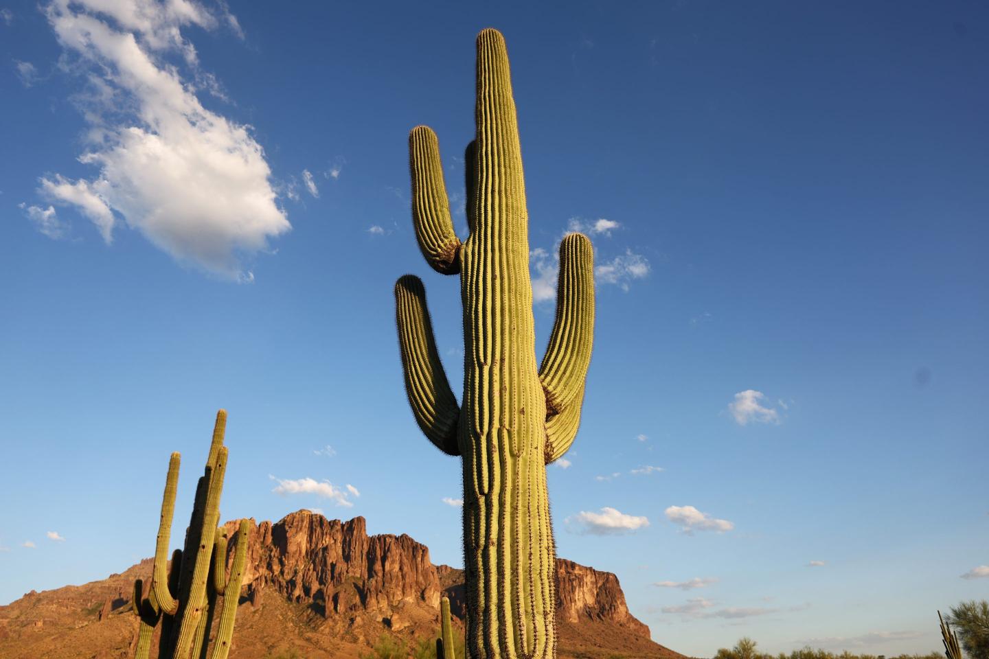 Phoenix’s heatwave reaches another level of unbearable by hitting a record-tying 110 degrees for the 53rd day—with more extreme heat expected