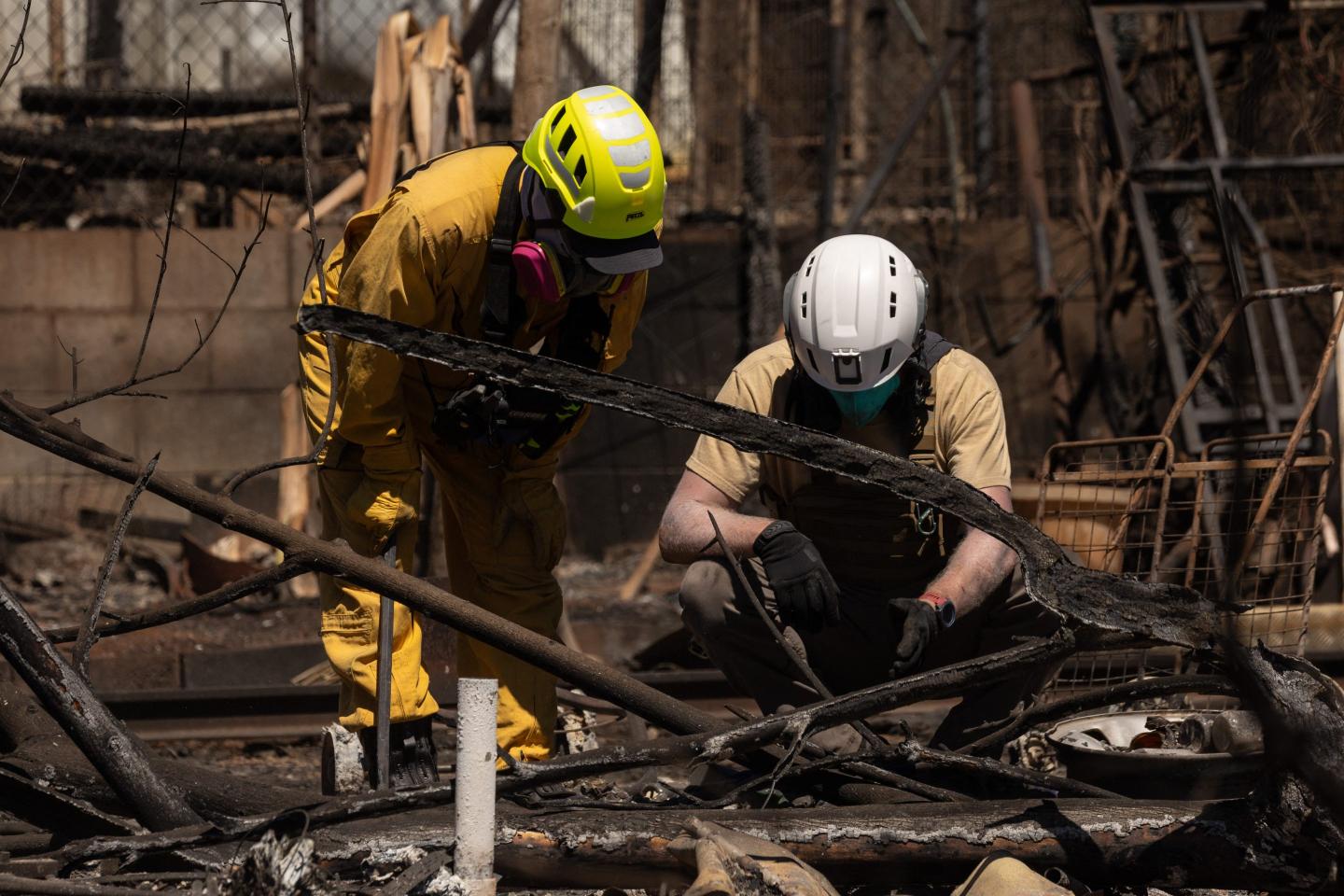 Maui implores tourists to return to paradise and save the island from economic catastrophe after devastating wildfires