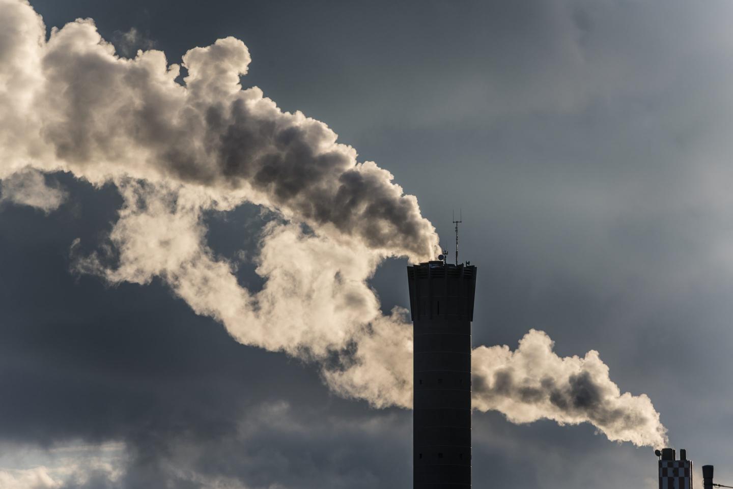 Only 66% of Fortune Global 500 companies have a net zero pledge as of 2022—the exact same level as the year before.