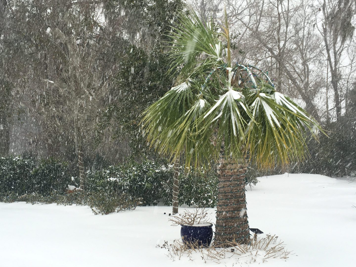 El Niño winters can disrupt typical weather patterns, such as this South Carolina snowstorm in 2018.